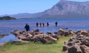 Drowning at Wortelgat